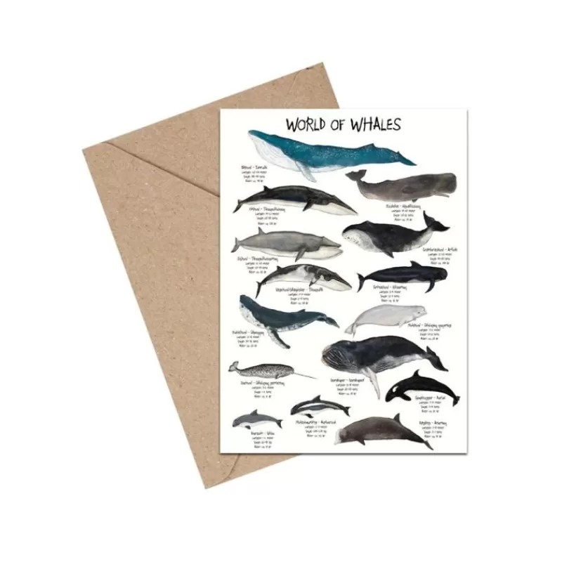 Flash Sale A6 Kort, World Of Whales Kort