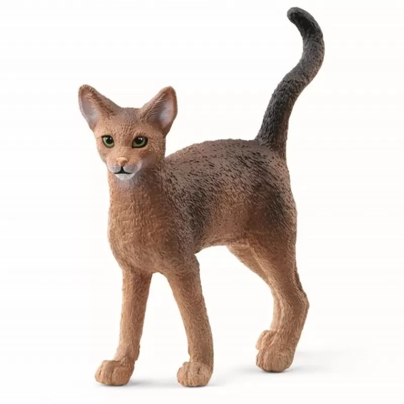 Outlet Abyssinian Cat Dyr