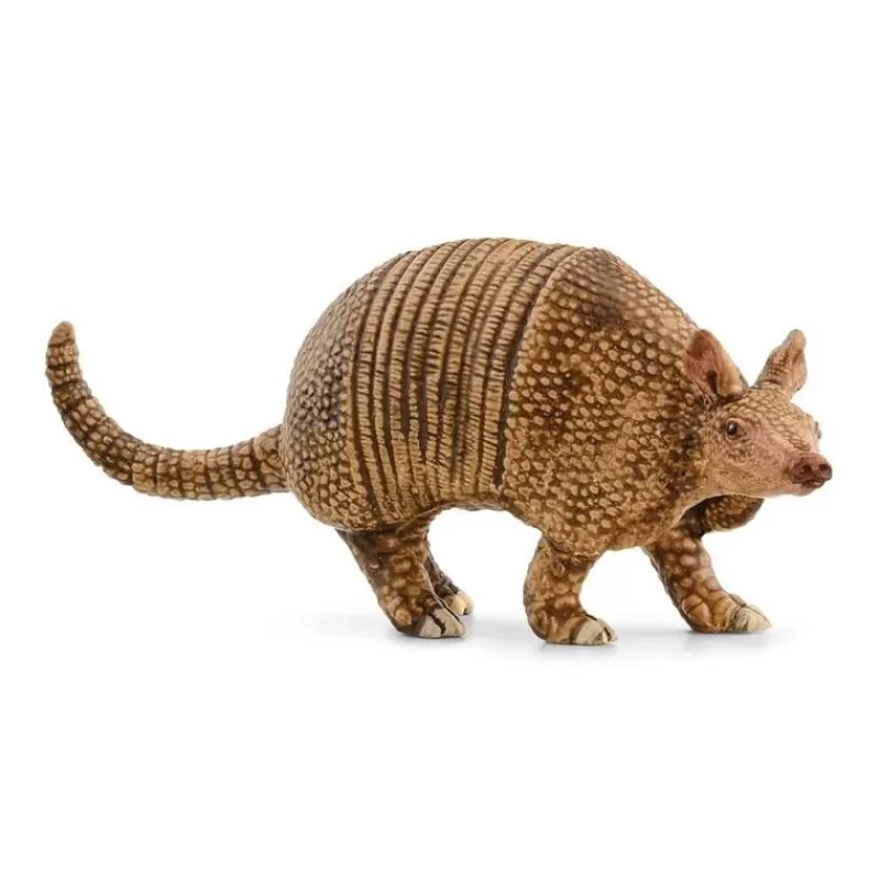 Cheap Armadillo Dyr