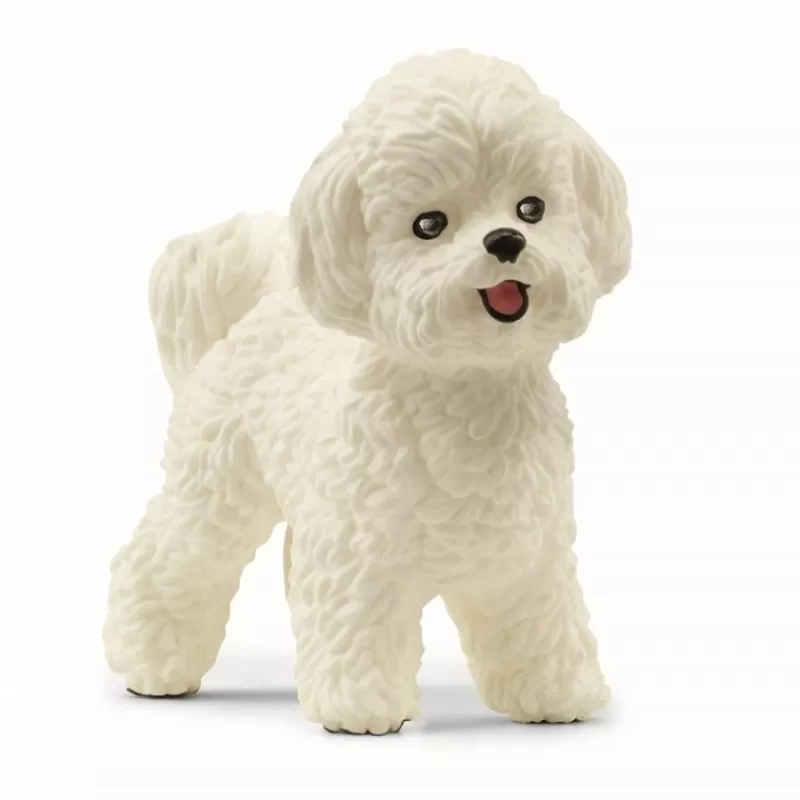 Cheap Bichon Frise Dyr