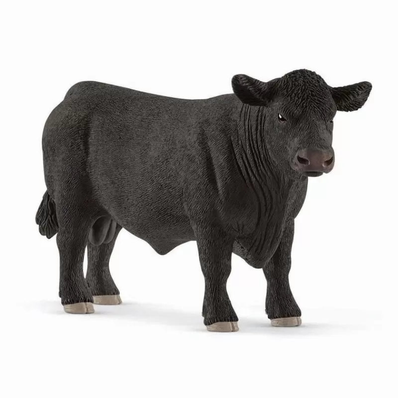 Best Sale Black Angus Bull Dyr