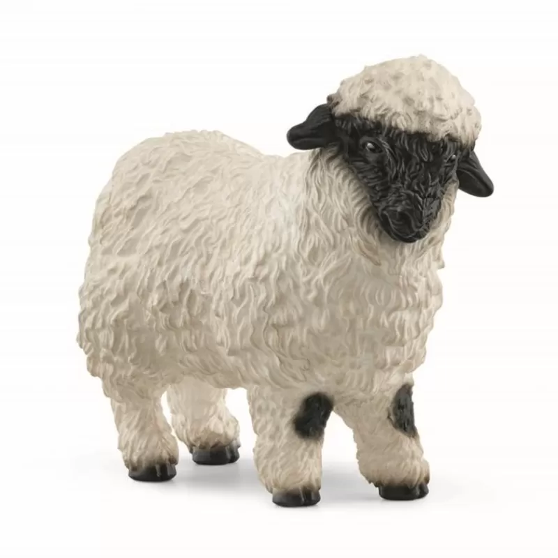 Cheap Blacknose Sheep Dyr