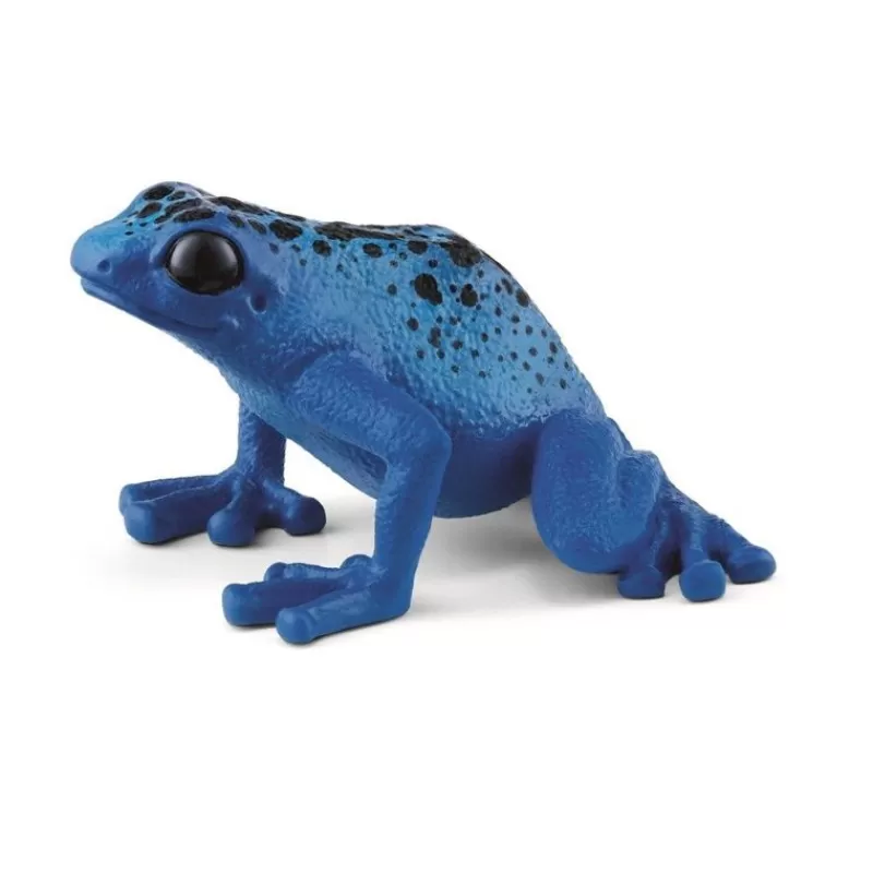 Cheap Blue Poison Dart Frog Dyr