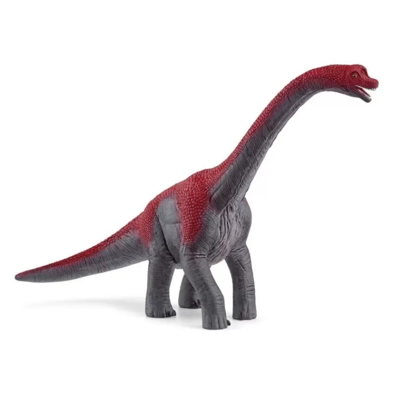 Online Brachiosaurus, Rod Dyr