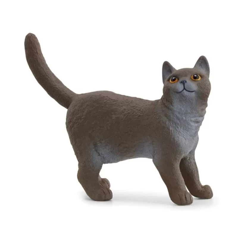 Flash Sale British Shorthair Cat Dyr