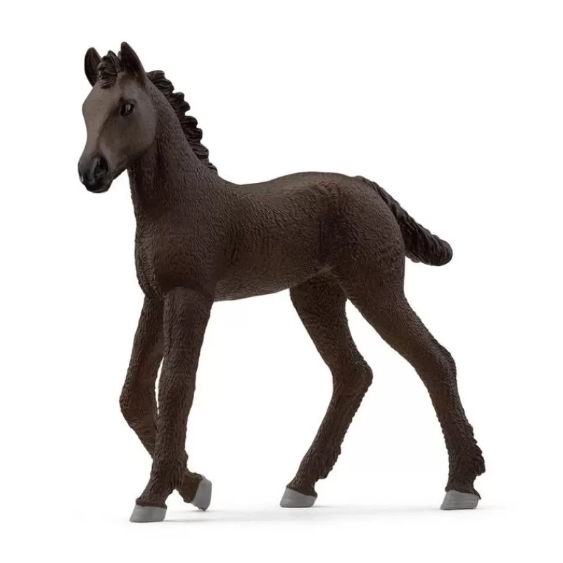 Hot Friesian Foal Dyr