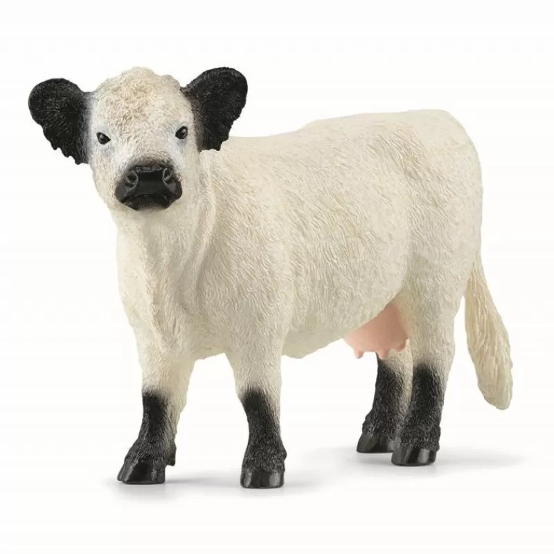 Cheap Galloway Cow Dyr