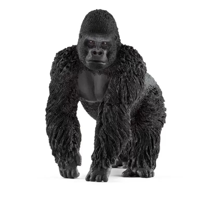 Flash Sale Gorilla, Han Dyr