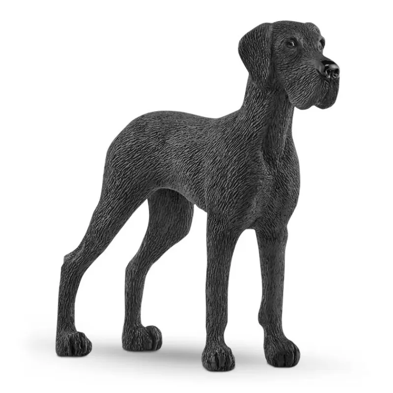 Sale Great Dane Dyr