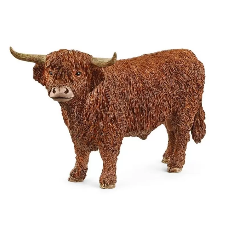 Sale Highland Bull Dyr