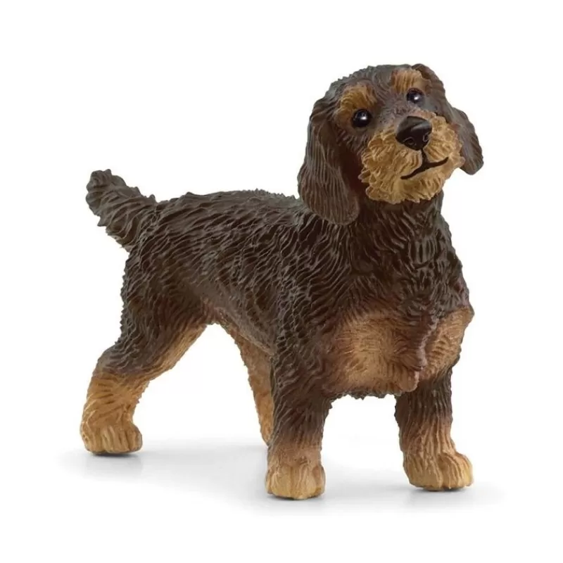 Outlet Wire-Haired Dachshund Dyr